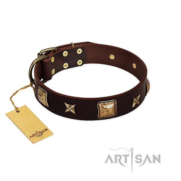 Extraordinary full grain natural leather collar for your pet
