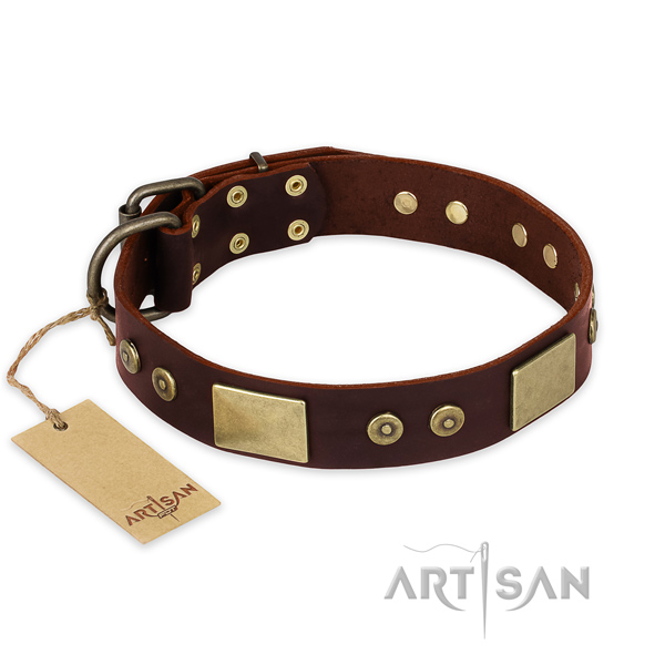 Stunning leather dog collar for daily use