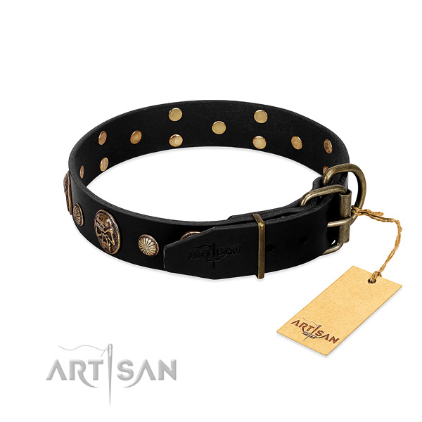 Rust resistant traditional buckle on leather collar for fancy walking your pet