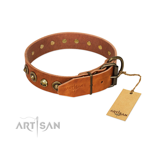 Leather collar with impressive adornments for your four-legged friend