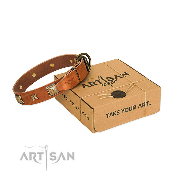 Inimitable leather collar for your impressive pet