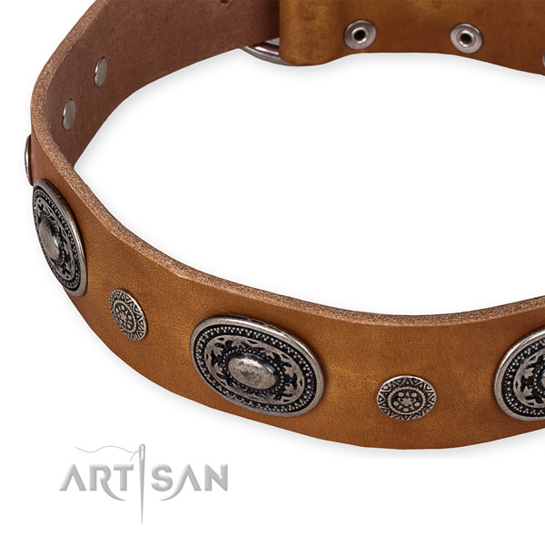 Best quality full grain leather dog collar handmade for your handsome four-legged friend