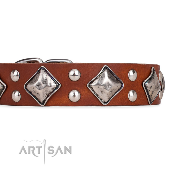 Leather dog collar with trendy corrosion proof embellishments
