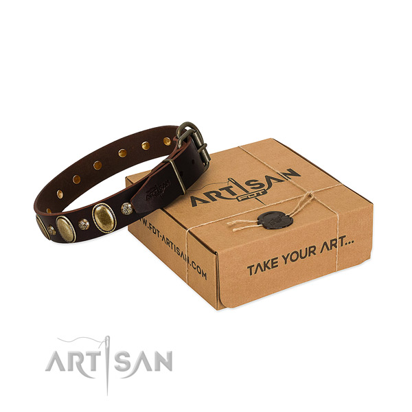 Designer natural leather dog collar with rust-proof hardware