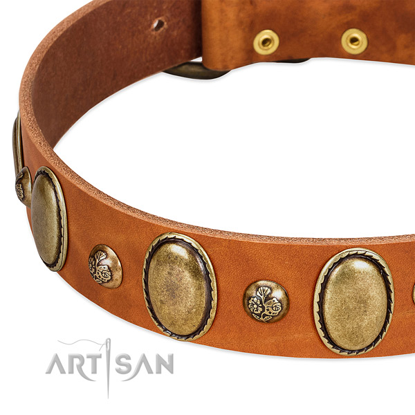 Leather dog collar with exceptional adornments