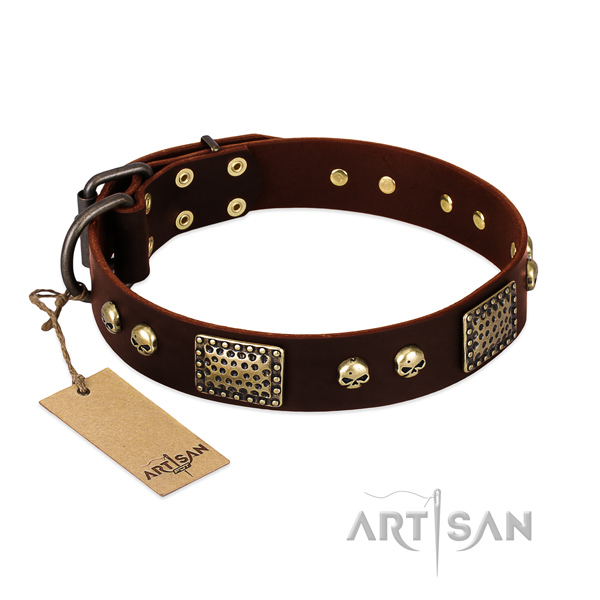 Easy to adjust leather dog collar for basic training your doggie