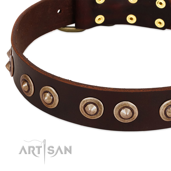 Corrosion resistant traditional buckle on full grain natural leather dog collar for your pet