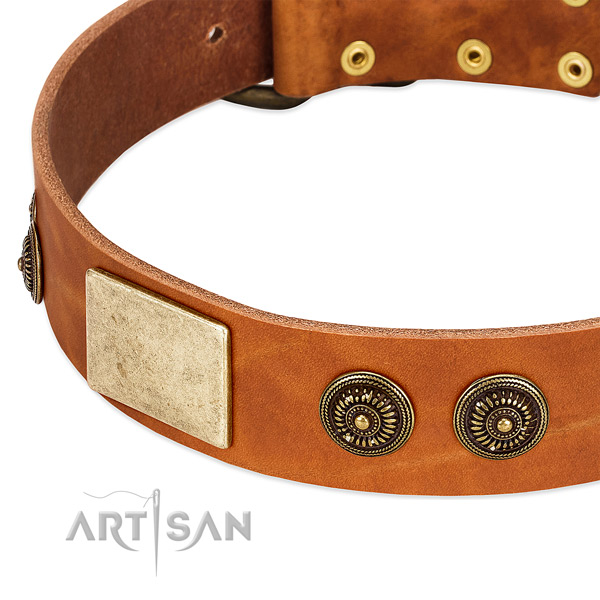 Unique dog collar handcrafted for your impressive doggie