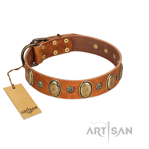 Walking top notch full grain genuine leather dog collar with adornments