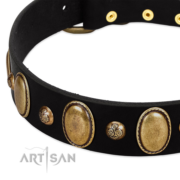 Full grain natural leather dog collar with inimitable adornments