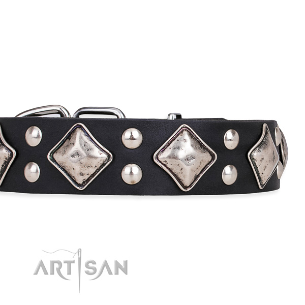 Genuine leather dog collar with exceptional corrosion resistant decorations
