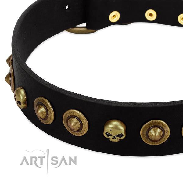 Genuine leather dog collar with incredible embellishments