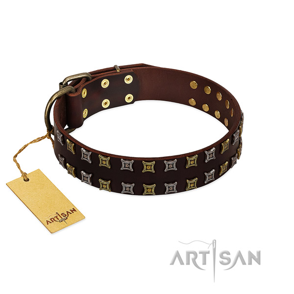 Reliable full grain natural leather dog collar with adornments for your doggie