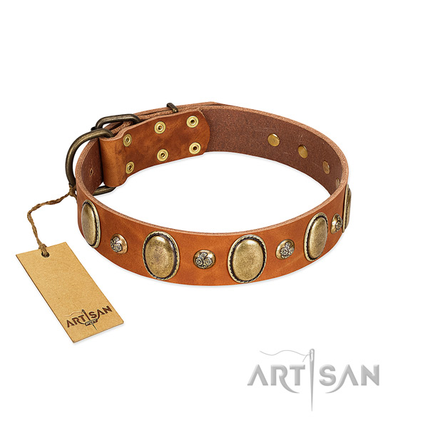 Leather dog collar of best quality material with exquisite decorations
