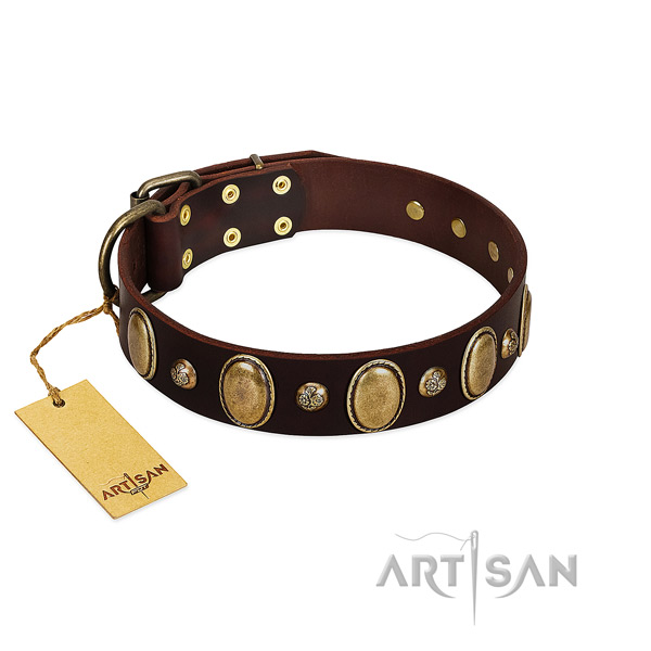 Natural leather dog collar of soft material with stunning decorations