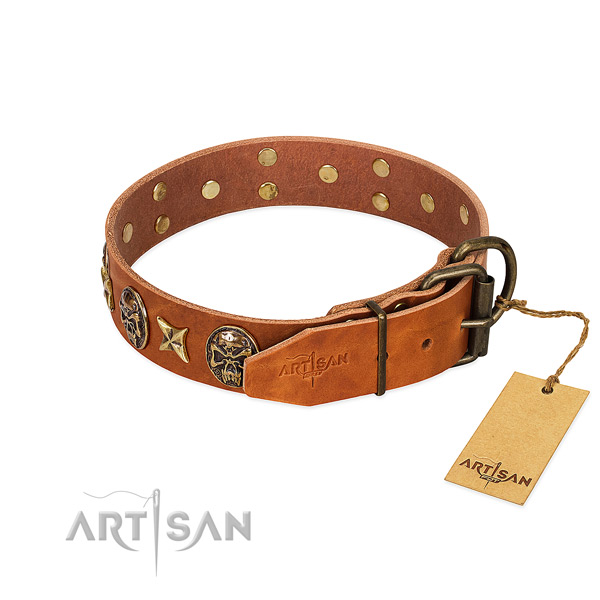 Genuine leather dog collar with reliable D-ring and studs