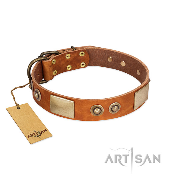 Easy to adjust full grain genuine leather dog collar for everyday walking your canine