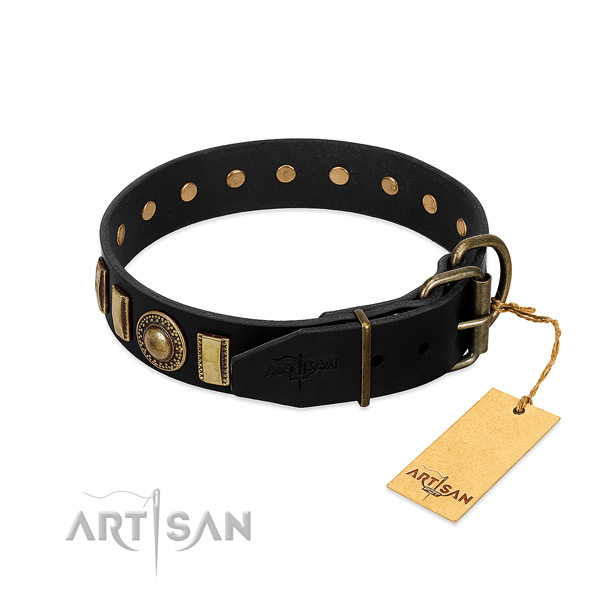 Best quality genuine leather dog collar with embellishments