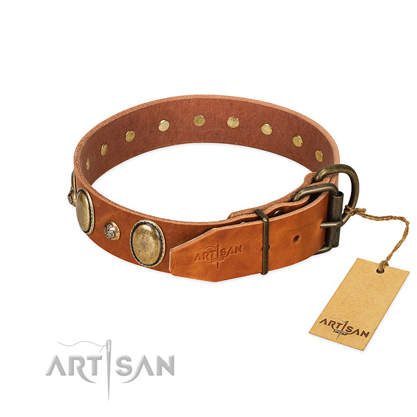 Fine quality natural leather dog collar with strong fittings