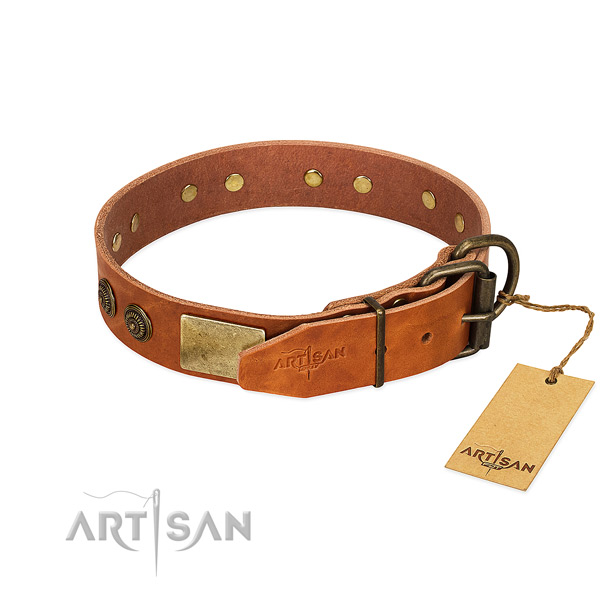 Corrosion resistant D-ring on full grain genuine leather collar for stylish walking your dog