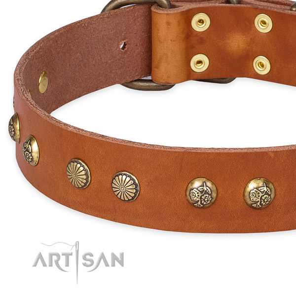 Full grain genuine leather collar with corrosion proof hardware for your beautiful canine