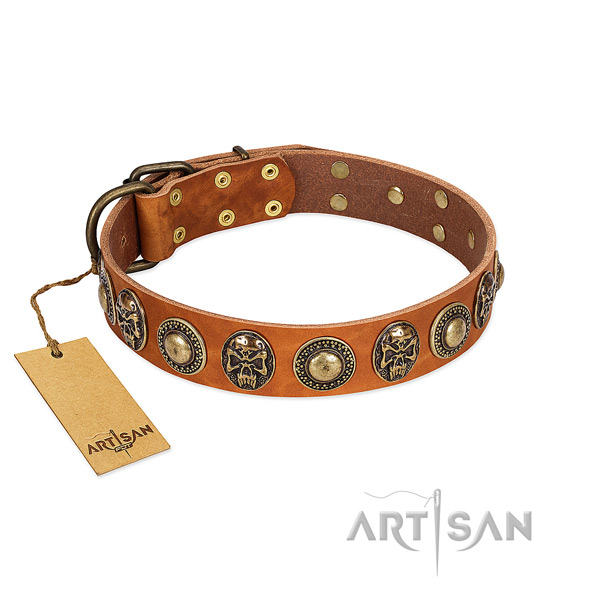 Easy wearing full grain natural leather dog collar for walking your dog