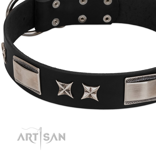High quality natural leather dog collar with rust resistant D-ring