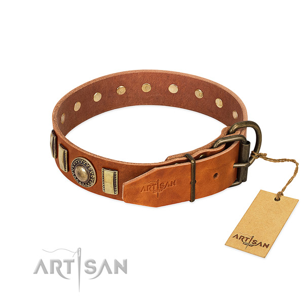 Easy to adjust full grain genuine leather dog collar with rust-proof fittings