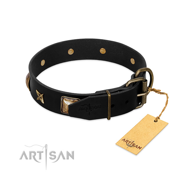 Rust resistant hardware on leather collar for walking your four-legged friend