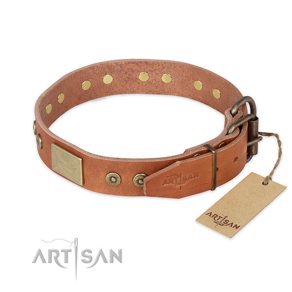 Rust resistant traditional buckle on full grain genuine leather collar for walking your canine