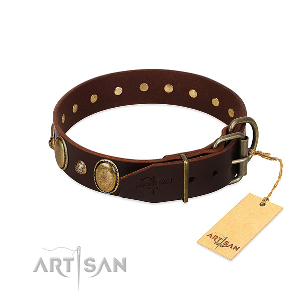 Durable hardware on leather collar for stylish walking your canine