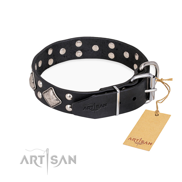 Genuine leather dog collar with exceptional reliable adornments