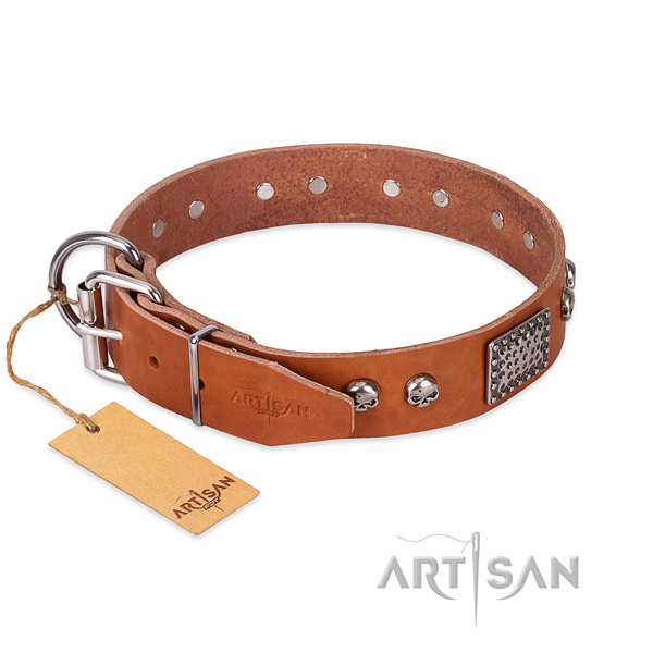 Corrosion resistant studs on daily walking dog collar