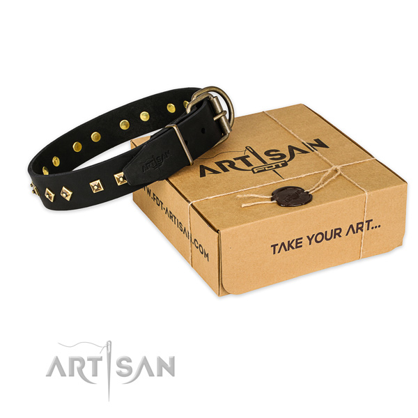Reliable hardware on full grain natural leather dog collar for daily use