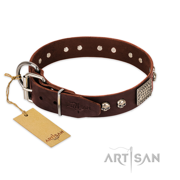 Durable decorations on everyday use dog collar