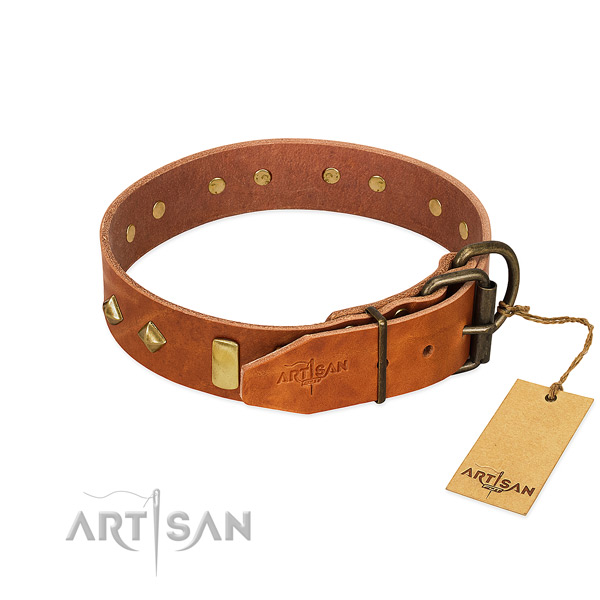 Walking leather dog collar with stylish embellishments