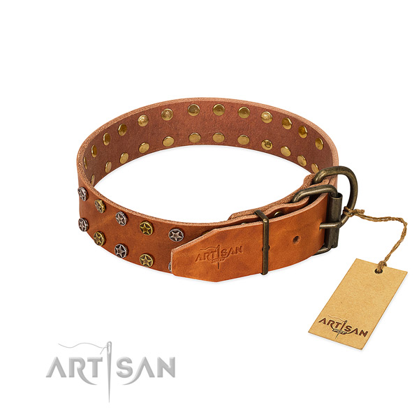 Comfortable wearing natural leather dog collar with awesome embellishments