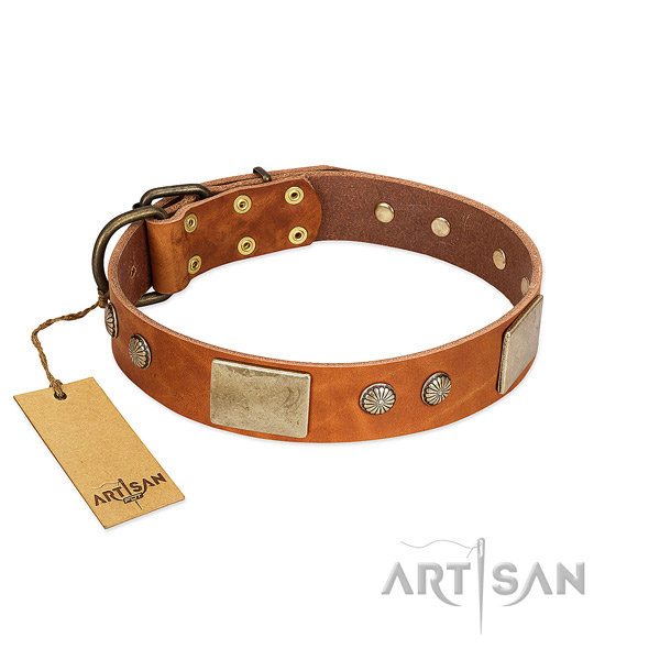 Easy wearing full grain genuine leather dog collar for everyday walking your dog