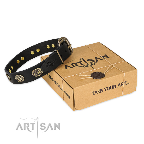 Corrosion resistant fittings on full grain leather collar for your attractive canine