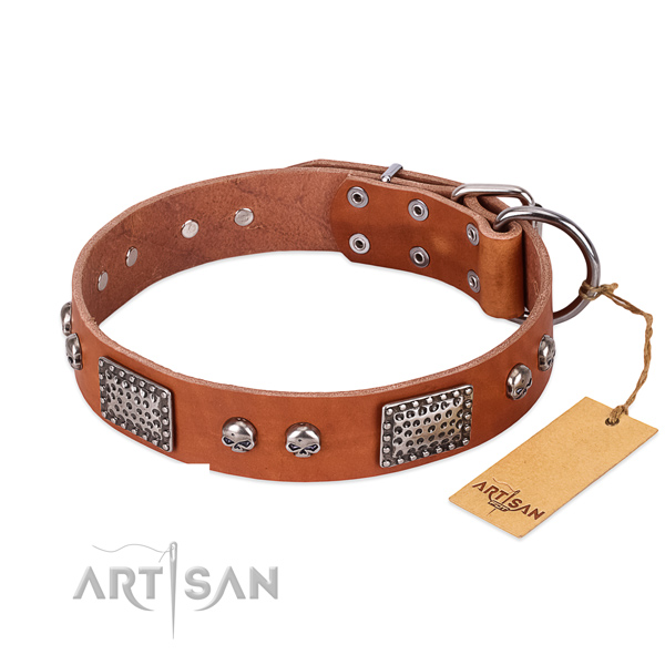 Adjustable natural genuine leather dog collar for basic training your dog