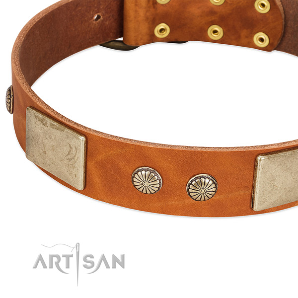 Rust resistant fittings on natural genuine leather dog collar for your canine
