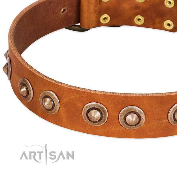 Durable traditional buckle on genuine leather dog collar for your pet