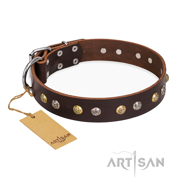 Everyday use embellished dog collar with corrosion proof fittings