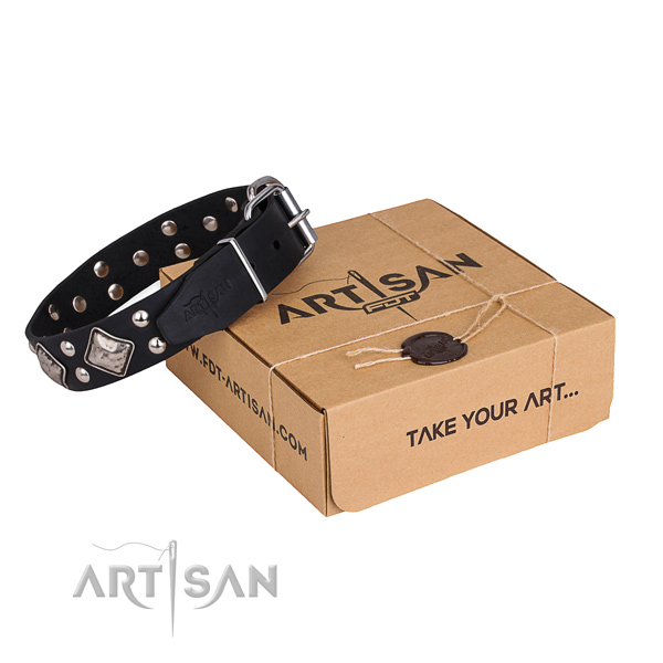 Daily walking dog collar with Stylish rust-proof adornments