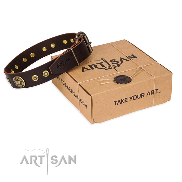 Leather dog collar made of reliable material with durable traditional buckle