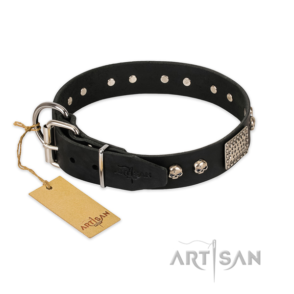 Corrosion proof studs on daily walking dog collar