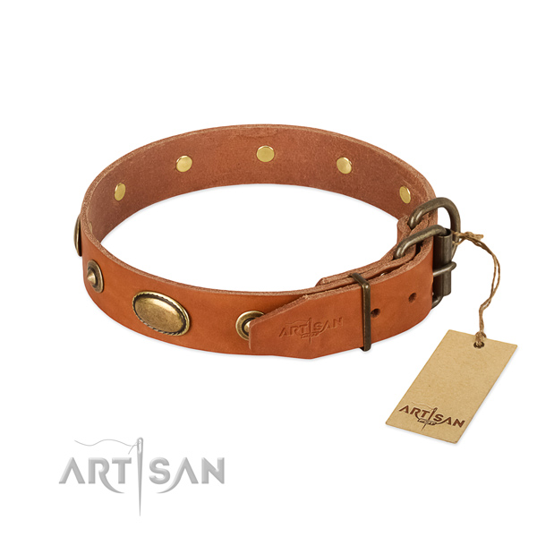 Durable studs on leather dog collar for your dog
