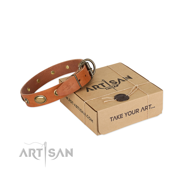 Durable hardware on leather dog collar for your canine