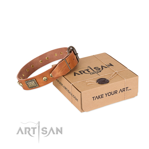 Strong traditional buckle on dog collar for everyday walking