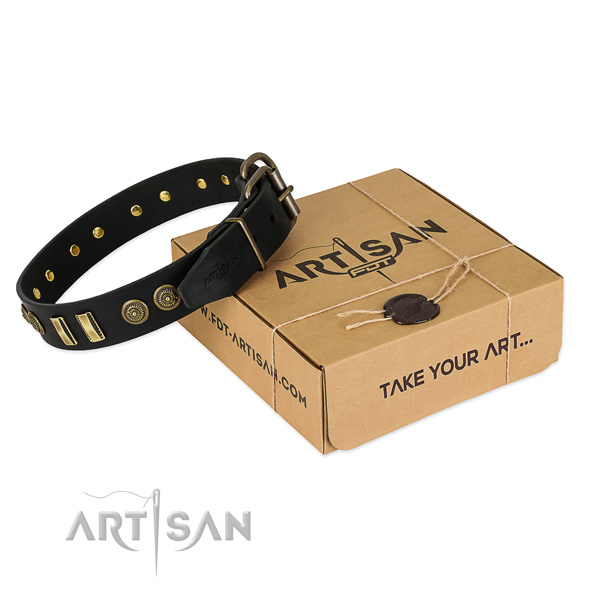 Reliable studs on full grain natural leather dog collar for your dog
